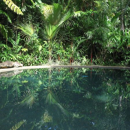 Daintree Rainforest Retreat Motel Экстерьер фото