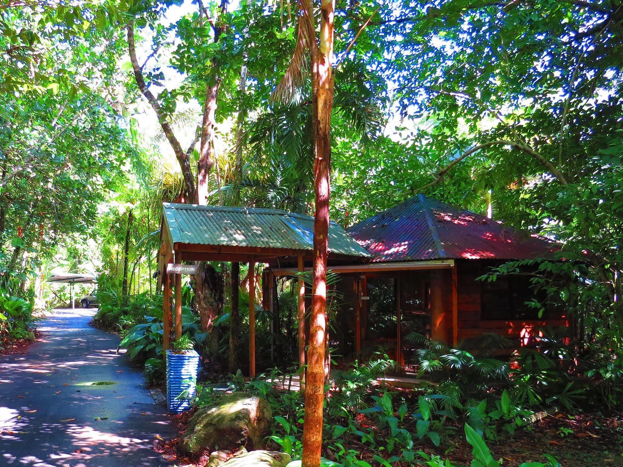 Daintree Rainforest Retreat Motel Экстерьер фото