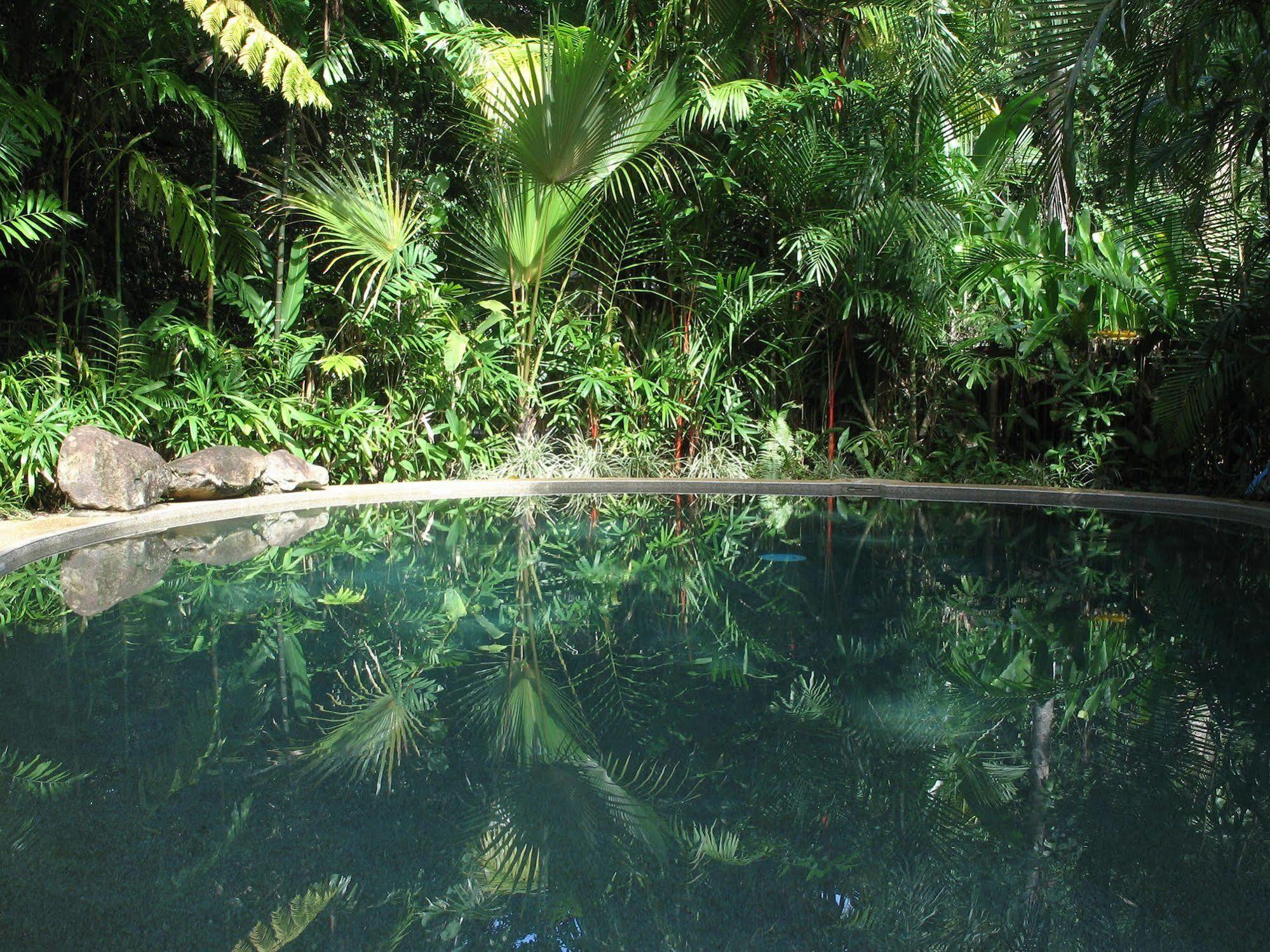 Daintree Rainforest Retreat Motel Экстерьер фото