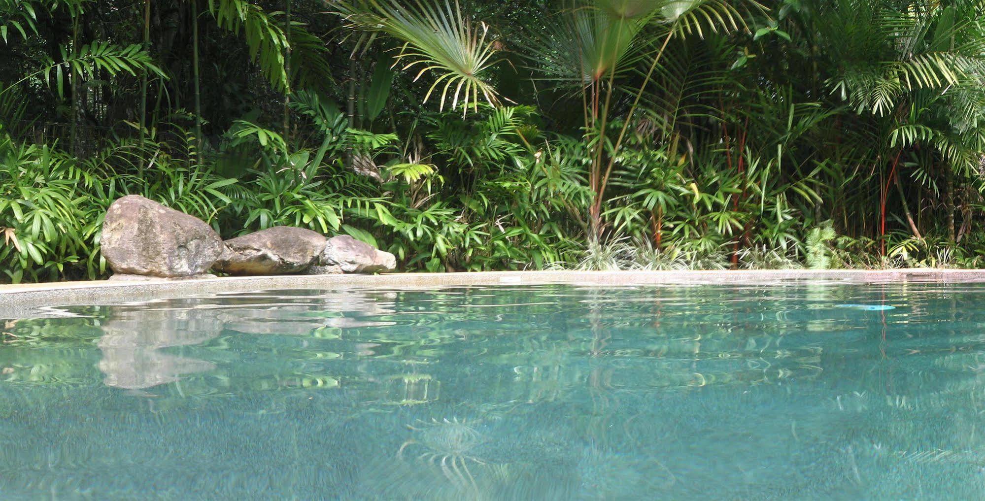 Daintree Rainforest Retreat Motel Экстерьер фото